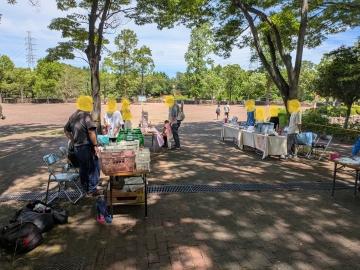 PXL_20250719_013028585