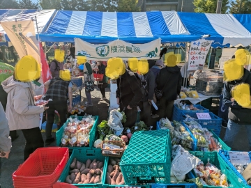 PXL_20251103_005331687